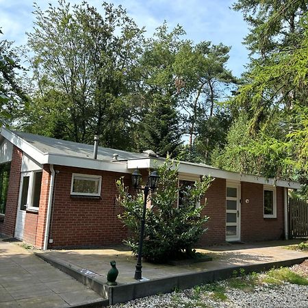 Relaxen In Het Bos Met Privesauna Holten Exteriör bild