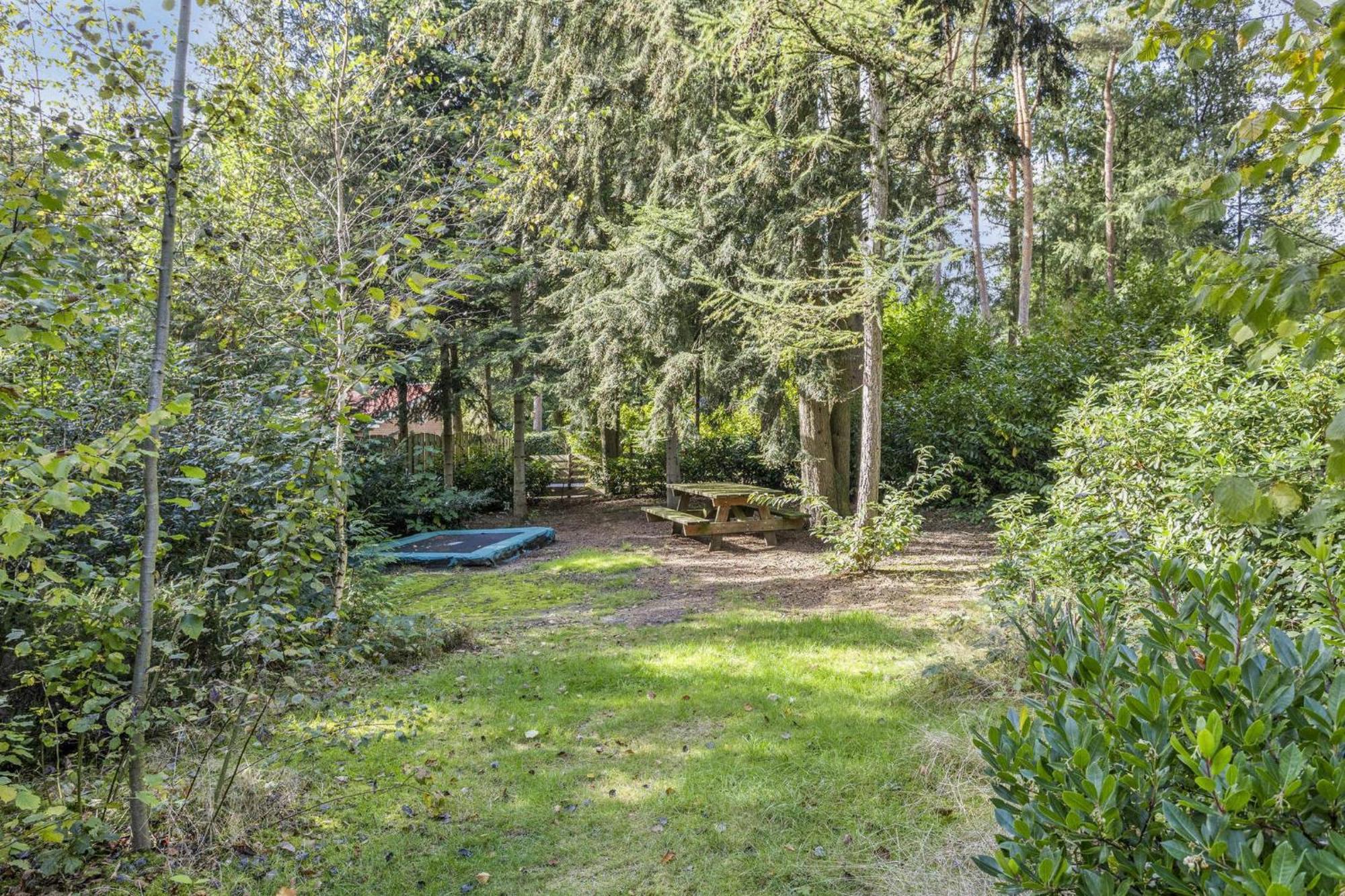 Relaxen In Het Bos Met Privesauna Holten Exteriör bild