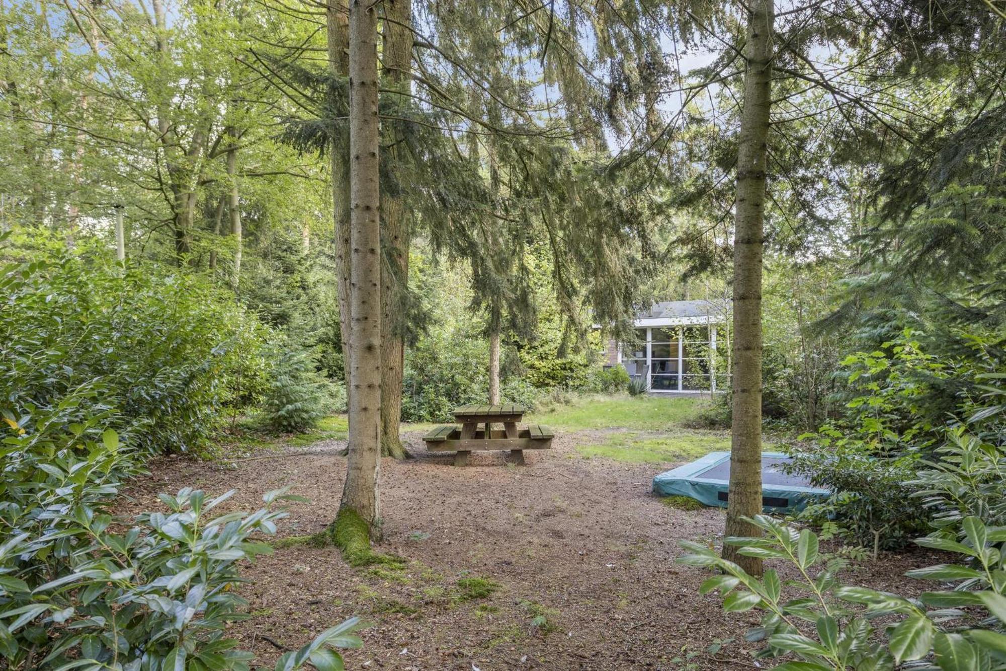 Relaxen In Het Bos Met Privesauna Holten Exteriör bild