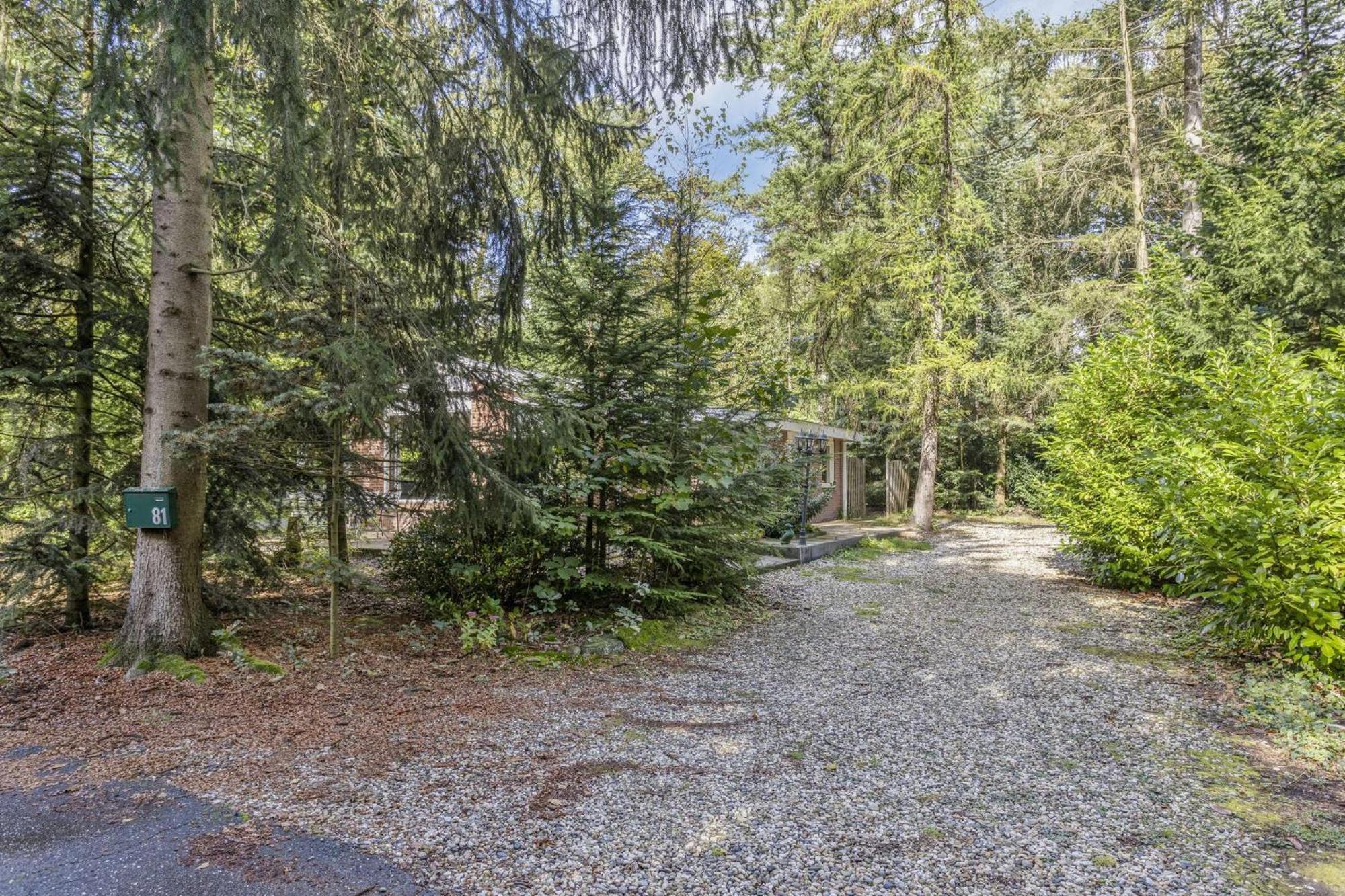Relaxen In Het Bos Met Privesauna Holten Exteriör bild