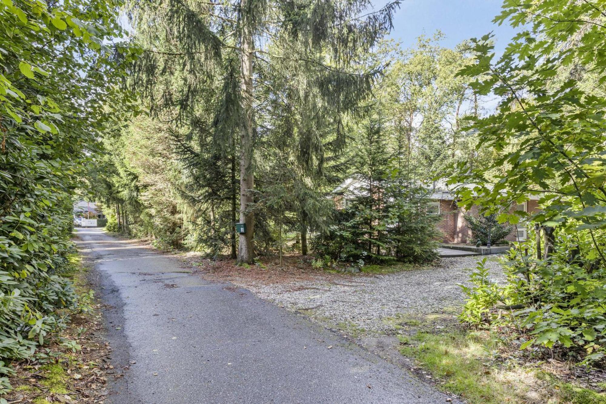 Relaxen In Het Bos Met Privesauna Holten Exteriör bild