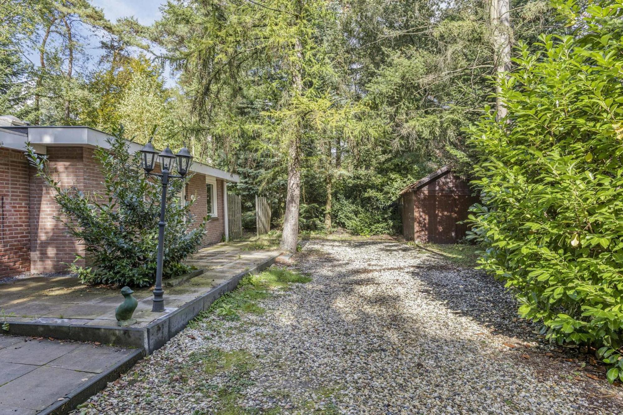 Relaxen In Het Bos Met Privesauna Holten Exteriör bild